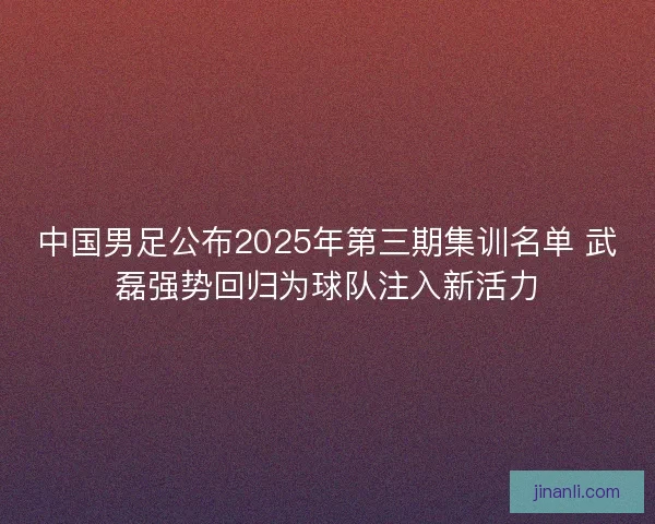 中国男足公布2025年第三期集训名单 武磊强势回归为球队注入新活力